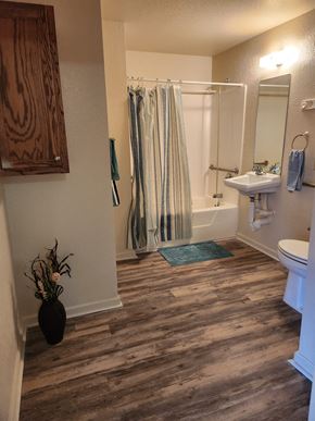 Ashburn apartment for rent - a bathroom with a shower and a toilet and a sink