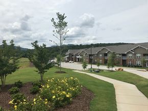 Young Harris apartment for rent - a view of a neighborhood with trees and grass