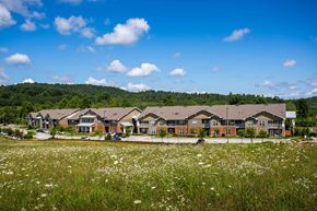 Young Harris apartment for rent - a group of houses in front of a field of flowers
