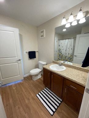 Columbus apartment for rent - a bathroom with a sink toilet and a mirror