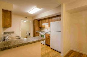 Lake Park apartment for rent - a kitchen with a sink and a refrigerator