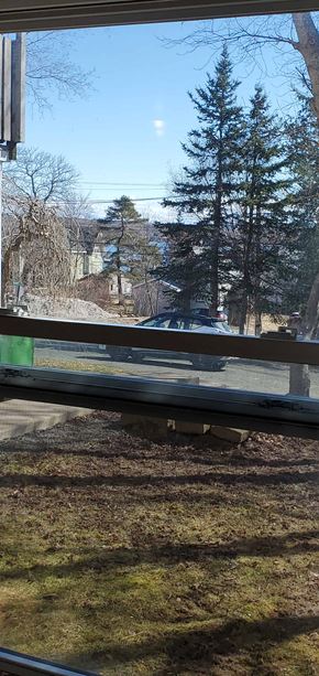 Pictou apartment for rent - a view from a window of a street and trees