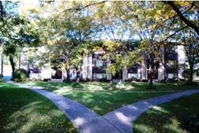 Wood Dale apartment for rent - A pathway in a park with trees on either side.