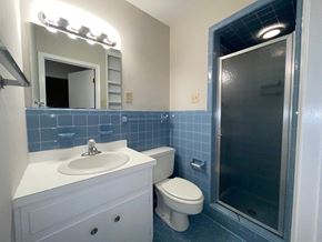 Raleigh apartment for rent - a blue and white bathroom with a shower toilet and sink