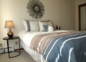 Arden Hills apartment for rent - a bedroom with a bed and a mirror on the wall