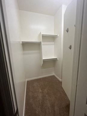 Buckeye house for rent - a walk in closet with empty shelves and a carpet