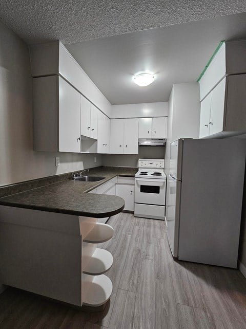 Floor plan for studio, 1 bath, 450 sqft