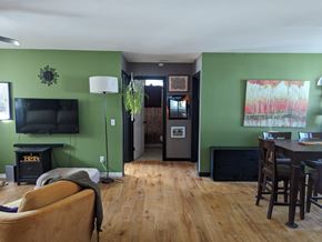 Pagosa Springs house for rent - a living room with green walls and a wood floor