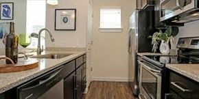 Tampa apartment for rent - A kitchen with black cabinets and stainless steel appliances.