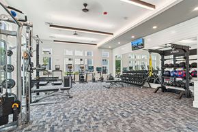 Charlotte apartment for rent - A gym with a variety of equipment including a squat rack, bench, and weights.