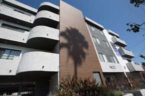 Los Angeles apartment for rent - a shadow of a tree on the side of an apartment building