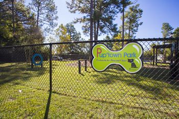 Bark park with agility equipment