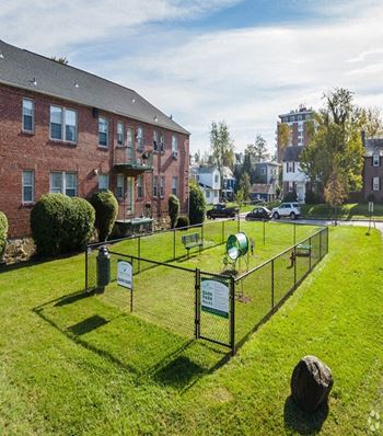 Bark park