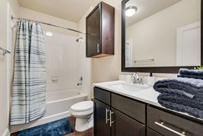 Dallas house for rent - a bathroom with a sink and a shower and a toilet