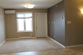 Brandon apartment for rent - an empty living room with a window and a door