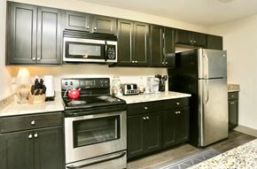 Clemson apartment for rent - a kitchen with stainless steel appliances and black cabinets