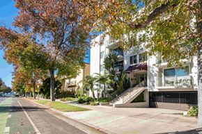 Santa Monica apartment for rent - A tree with red leaves is in front of a white building.