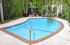 Sherman Oaks apartment for rent - a large swimming pool in a backyard with palm trees
