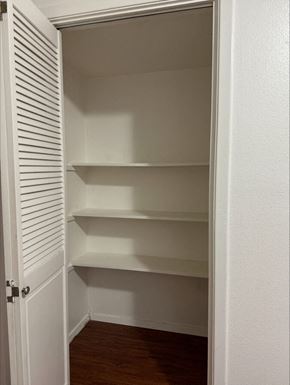 Austin apartment for rent - a closet with three shelves in it and a door