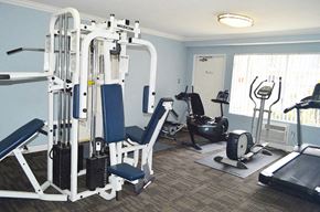 Van Nuys apartment for rent - a gym with cardio equipment in a room with a window