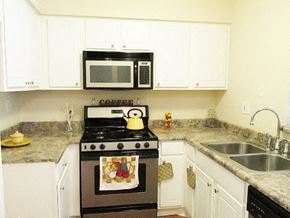 Burbank apartment for rent - a kitchen with a stove and a microwave and a sink