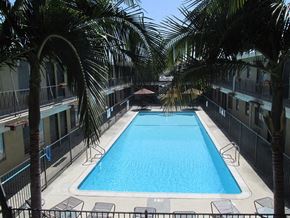 Baldwin Park apartment for rent - a swimming pool with palm trees and chairs around it