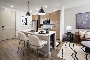 Durham apartment for rent - Modern One Bedroom Open Concept Kitchen with large island at MAA Nixie luxury apartments in Durham, NC