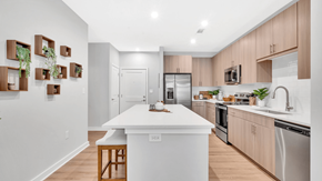 Raleigh apartment for rent - Kitchen