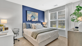 Raleigh apartment for rent - Bedroom