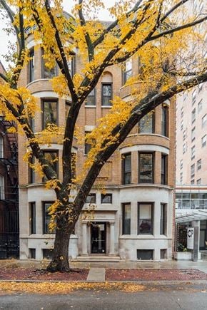 Chicago apartment for rent - a tree with yellow leaves in front of a building