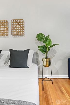 Chicago apartment for rent - a bedroom with a white bed and a plant on a stand