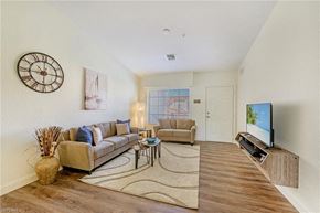 Bonita Springs house for rent - a living room with a couch and a tv