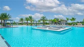 Estero house for rent - a large swimming pool with palm trees in the background