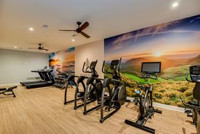 Aiken apartment for rent - A gym with a wall mural of a sunset over a golf course.