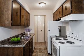 Hudson apartment for rent - a kitchen with a stove refrigerator and a sink