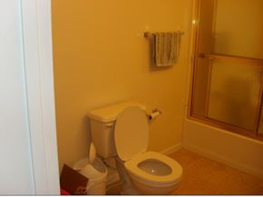 South Bend house for rent - A toilet in a bathroom with a towel rack above it.