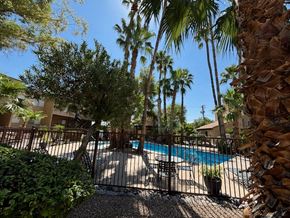 Tucson apartment for rent - a swimming pool with palm trees behind a fence