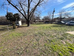 Dallas house for rent - A large tree stands in the middle of a grassy field.