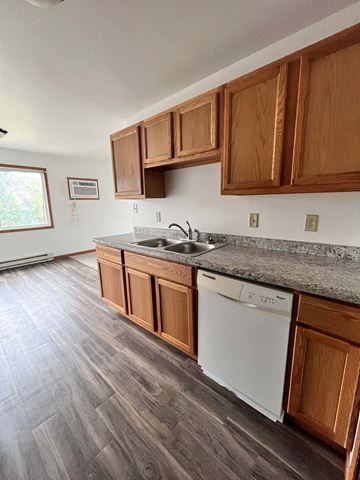 Grand Forks apartment for rent - a kitchen with wooden cabinets and a sink and a dishwasher