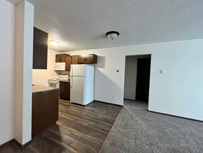 Grand Forks apartment for rent - a kitchen with a refrigerator and a sink and a refrigerator