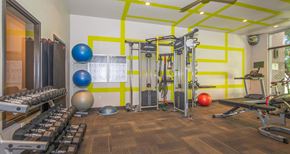 Denver apartment for rent - A gym with a variety of equipment including weights and exercise balls.