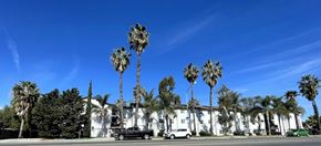 San Diego apartment for rent - Palm trees in front of a white building.