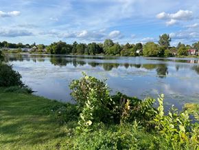 Smiths Falls apartment for rent - a view of a lake with trees in the background