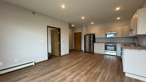 Fargo apartment for rent - a kitchen and living room with a wood floor and white cabinets