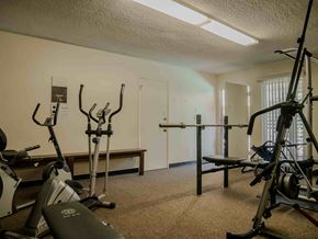 Sherman Oaks apartment for rent - A gym with a variety of equipment including treadmills, weights, and benches.