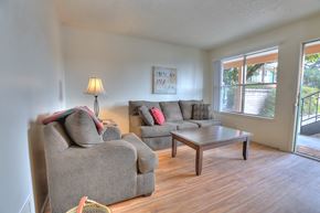 Albuquerque apartment for rent - A living room with a grey couch, a coffee table, and a lamp.