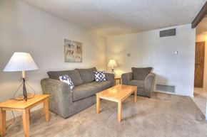 Albuquerque apartment for rent - A living room with a couch, chair, and lamp.