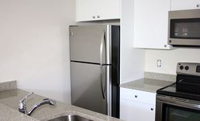 Charlestown apartment for rent - a kitchen with a stainless steel refrigerator and a sink