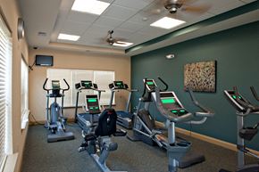 Weyers Cave apartment for rent - a gym with four exercise machines and a tv