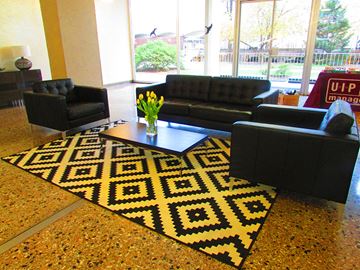 Washington apartment for rent - a living room with black leather furniture and a black and yellow rug